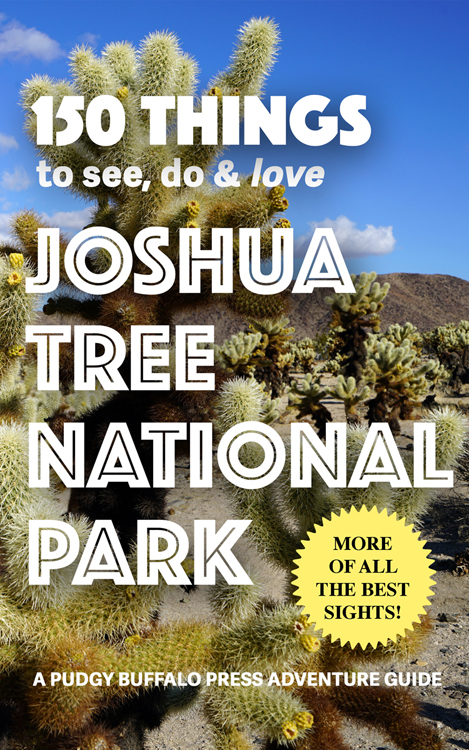 150 Things to See, Do & Love: Joshua Tree National Park