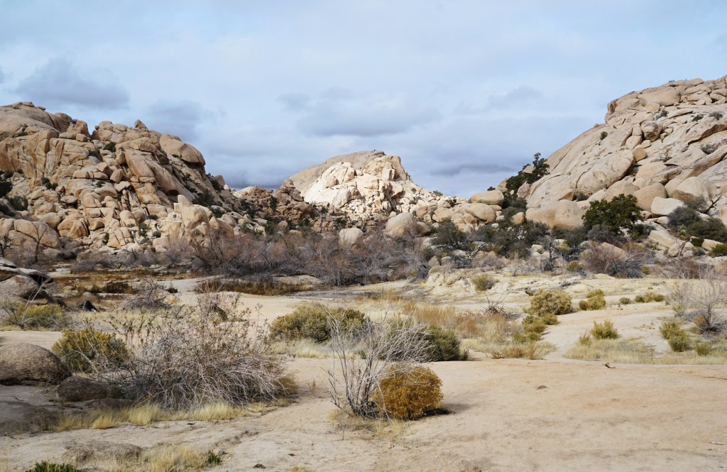 Barker Dam reservoir, from Lazy Hiking: Joshua Tree National Park