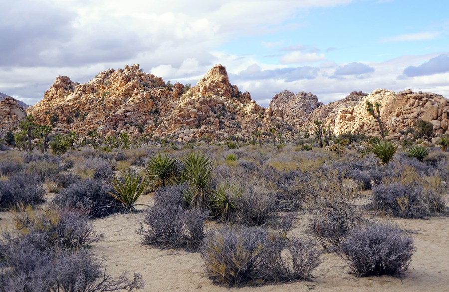 Hidden Valley from 150 Things to See, Do & Love: Joshua Tree National Park