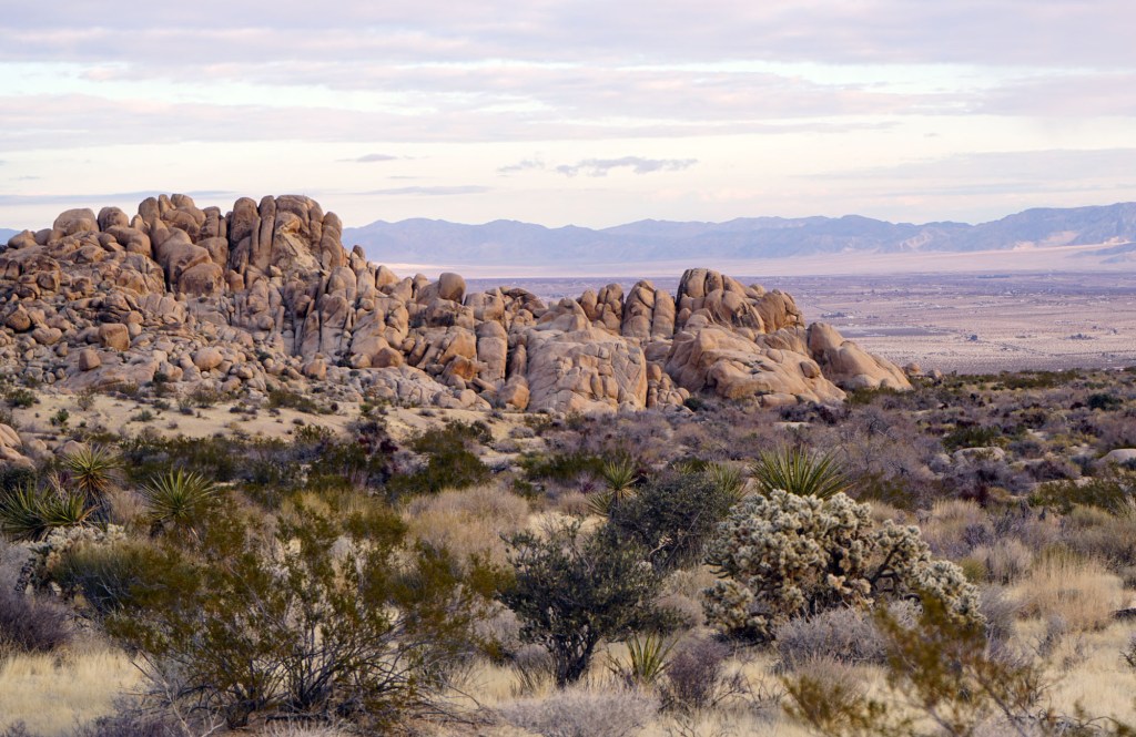 Family Adventure Awaits: Discovering the Indian Cove Nature&nbsp;Trail